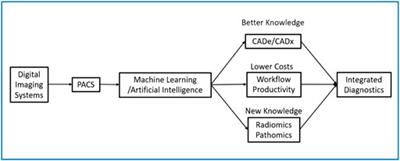 Artificial Intelligence for the Future Radiology Diagnostic Service